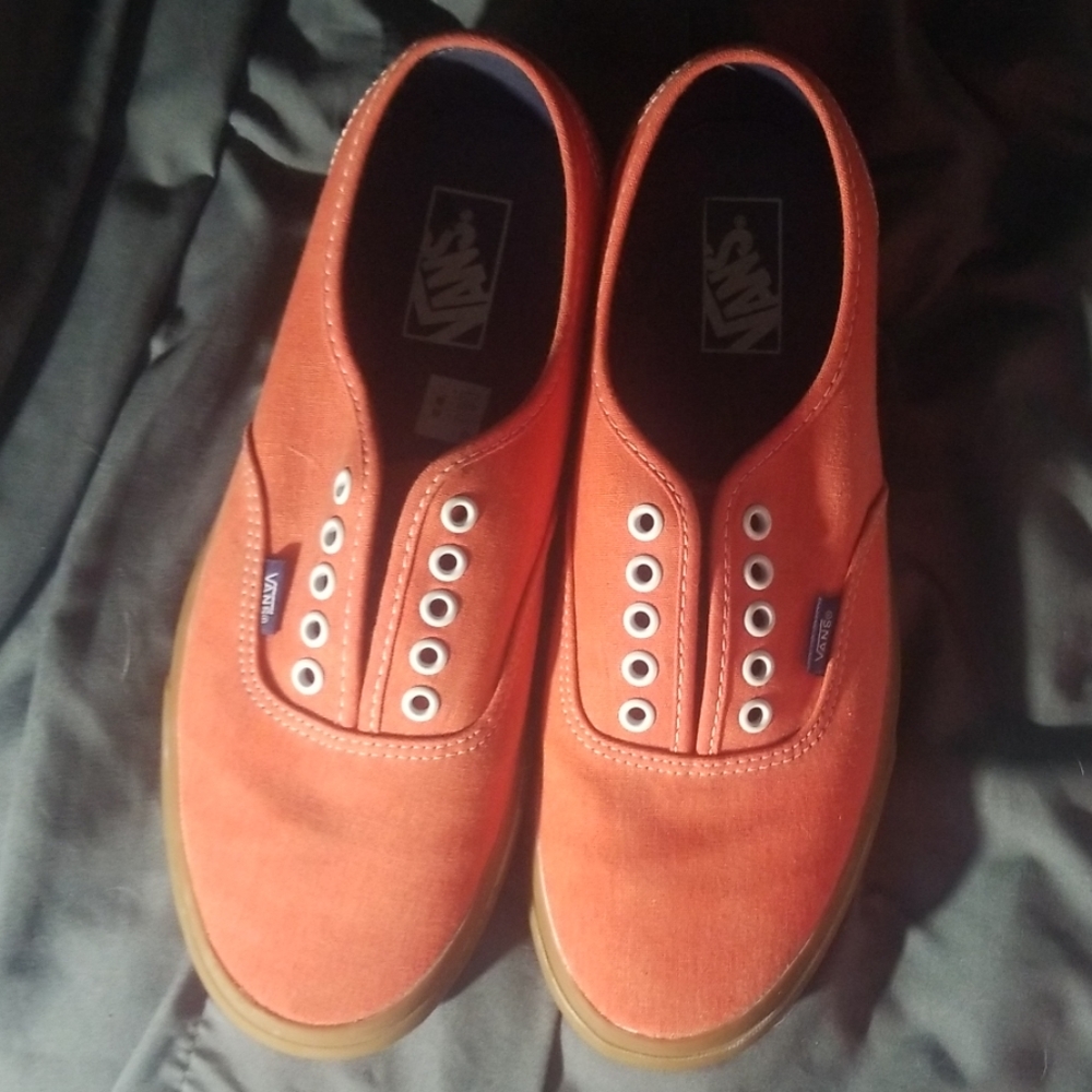Van's mens size 10